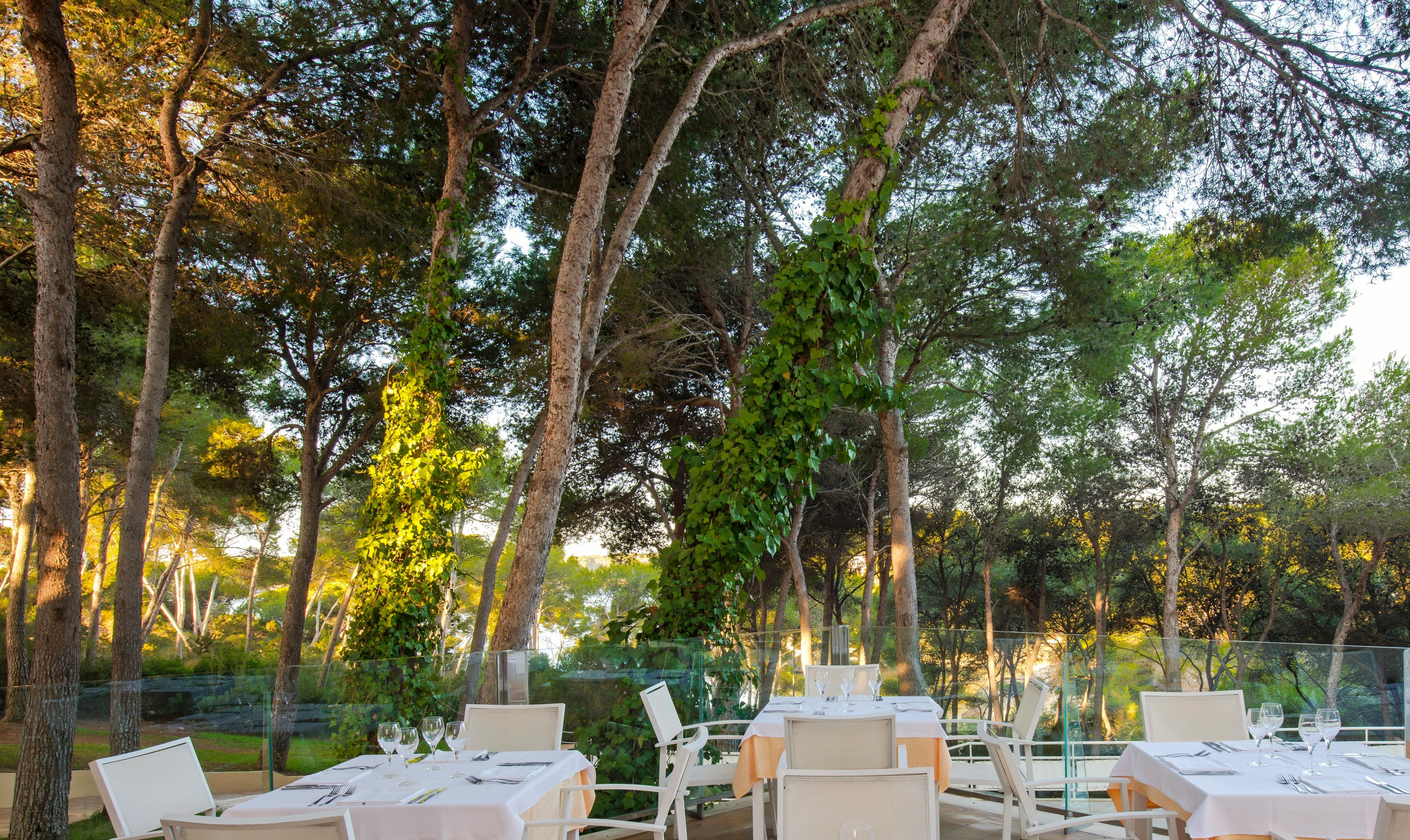 Iberostar Club Cala Barca All Inclusive Portopetro Eksteriør billede